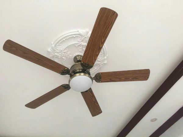 Trông thấy quạt trần đánh loto con gì ăn chắc