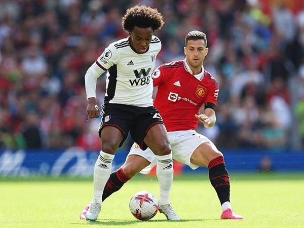 Đá giao hữu là gì?