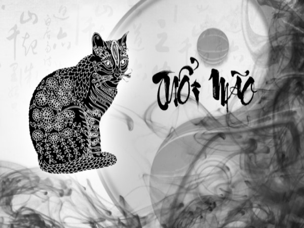 Số may mắn tuổi Mão 22/8/2025 rước tài lộc và bình an?