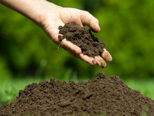 con số đẹp mệnh Thổ ngày 29/11/2025